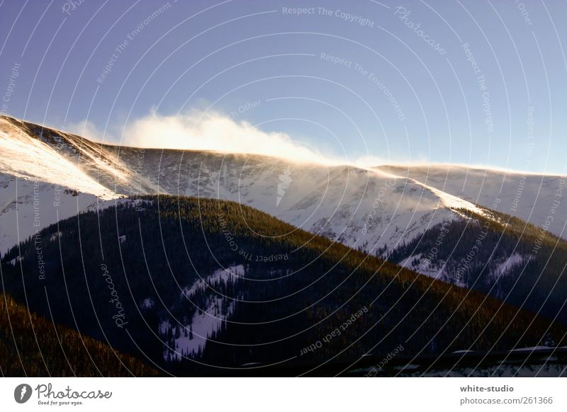 Schneewolken Landschaft wandern Schneesturm Schneedecke Wind Schneelandschaft Schneewehe Baum Rocky Mountains Berge u. Gebirge kalt Frost Eis Wald Tanne Winter