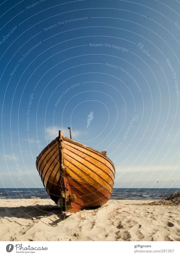 großer fang Umwelt Natur Landschaft Urelemente Sand Wasser Himmel Horizont Sommer Wetter Schönes Wetter Wellen Küste Strand Ostsee ästhetisch blau