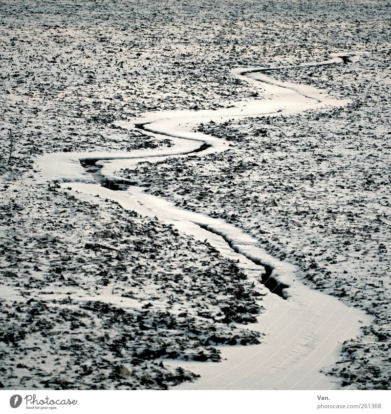 Winter Umwelt Natur Erde Wasser Eis Frost Schnee Teich Bach kalt weiß fließen gefroren Wasserrinne Zickzack Schlangenlinie Farbfoto Gedeckte Farben