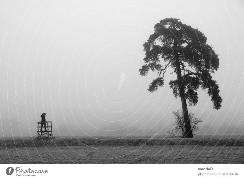 ________________ Freizeit & Hobby Fotografieren Ausflug wandern Landschaft Luft Herbst Nebel Baum Gras Wiese Feld atmen Jagd stehen ästhetisch Ferne