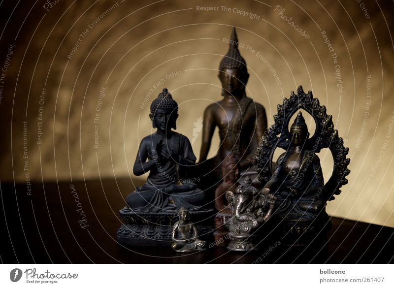 Eine Handvoll Buddhisten Kunst Kunstwerk Buddha Buddha Statue Metall Glück braun gold Lebensfreude Liebe Gelassenheit Wahrheit Weisheit Reinheit