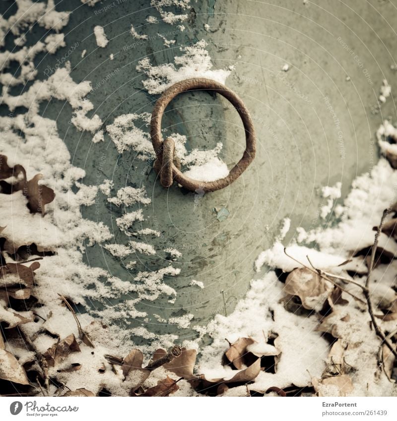 the ring Natur Herbst Winter Eis Frost Schnee Blatt Metall braun grün weiß Wasserfahrzeug Ring fest ankern Schiffsrumpf kalt Halterung festhalten Quadrat