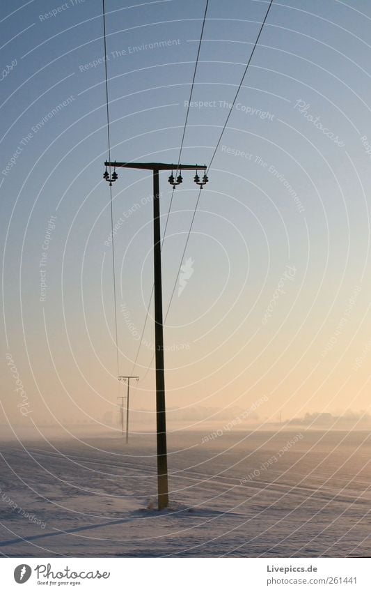 weites Land Energiewirtschaft Landschaft Sonne Sonnenlicht Winter Wetter Schönes Wetter Nebel Eis Frost Schnee Pflanze Feld Holz Metall Strommast Außenaufnahme