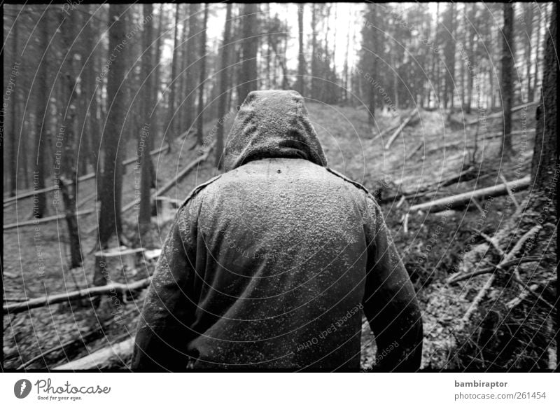 Im Wald Mensch maskulin Mann Erwachsene 1 Natur Winter Wetter Schnee Schneefall Baum weiß Jacke Parka Kapuze kahlschlag Forstwirtschaft Schwarzweißfoto