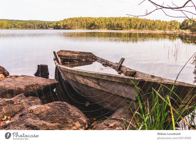 Holzboot am Ufer voll mit Wasser Sommer Landschaft Himmel Sonnenlicht Schönes Wetter Pflanze Baum Gras Wildpflanze Wald Felsen Küste Seeufer Schifffahrt