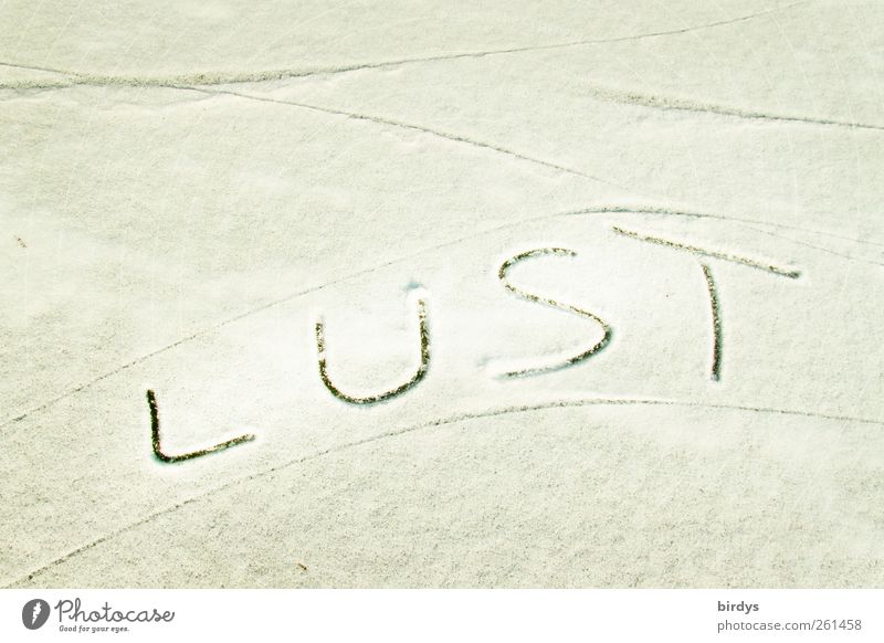 Jetzt wird`s lustig Winter Schnee Schriftzeichen leuchten ästhetisch hell positiv grau weiß Fröhlichkeit Begeisterung Lust Gefühle Kreativität Erotik Linie Wort