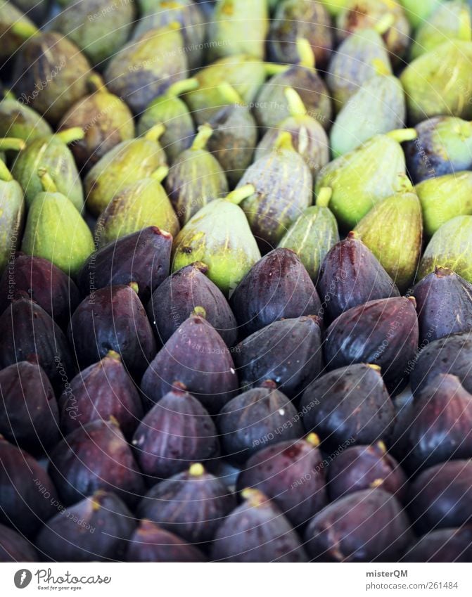 Feigensalat. Lebensmittel ästhetisch viele Auswahl Gesunde Ernährung grün violett Vegetarische Ernährung Frucht lecker Basar aufgereiht ökologisch Bioprodukte