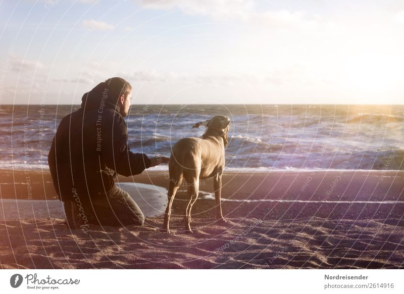 Meeres rauschen Leben harmonisch Sinnesorgane Ferien & Urlaub & Reisen Ferne Freiheit Strand Mensch maskulin Junger Mann Jugendliche Urelemente Wasser Sonne