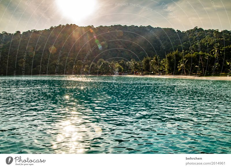 lass die sonne in dein herz entspannung Erholung entspannen erholen Romantik Palme Trauminsel Paradies Urwald Insel Asien Landschaft Malaysia perhentian besar