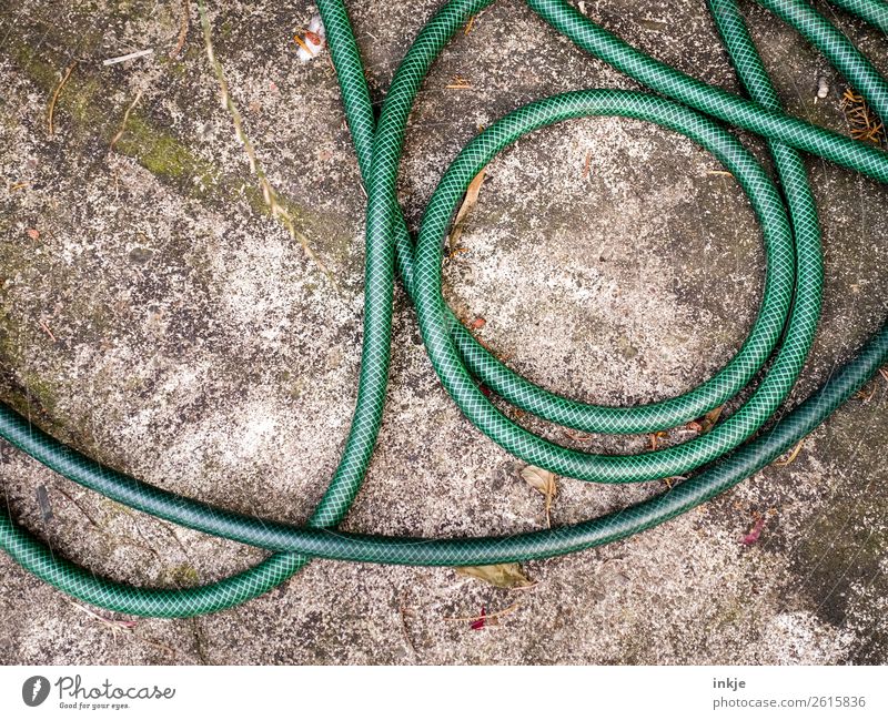 Grüner Gartenschlauch Häusliches Leben Menschenleer Terrasse grün liegen Windung unordentlich Farbfoto Außenaufnahme Tag Licht Kontrast Vogelperspektive