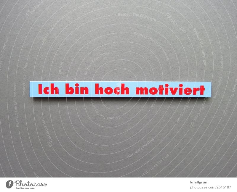 Ich bin hoch motiviert Motivation Kommunizieren Aktion Energie Kraft Training Sprache Buchstaben Wort Schriftzeichen Lateinisches Alphabet Letter Kommunikation