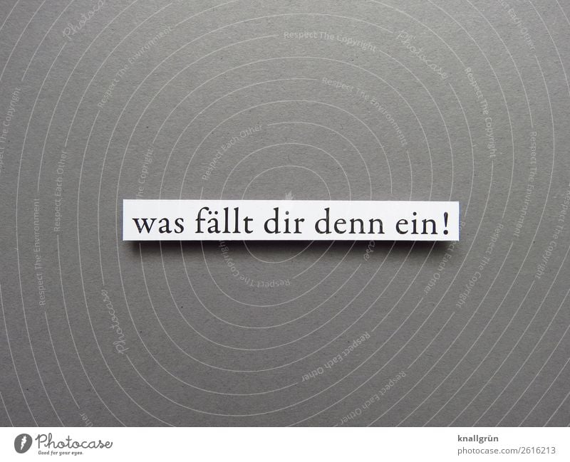 Was fällt dir denn ein? Kommunizieren Gefühle Ärger Empörung frech dreist Kommunikation Schilder & Markierungen Buchstaben Wort Satz Typographie Text Sprache