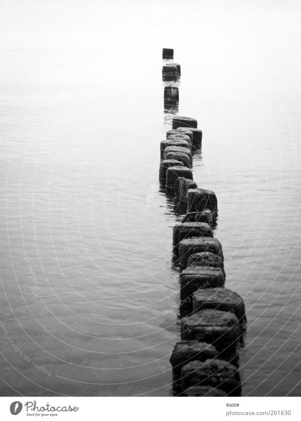 Pfadfinder ruhig Meditation Meer Umwelt Natur Urelemente Wasser Ostsee Wege & Pfade Holz ästhetisch Unendlichkeit kalt Einsamkeit Gelassenheit Ziel Buhne