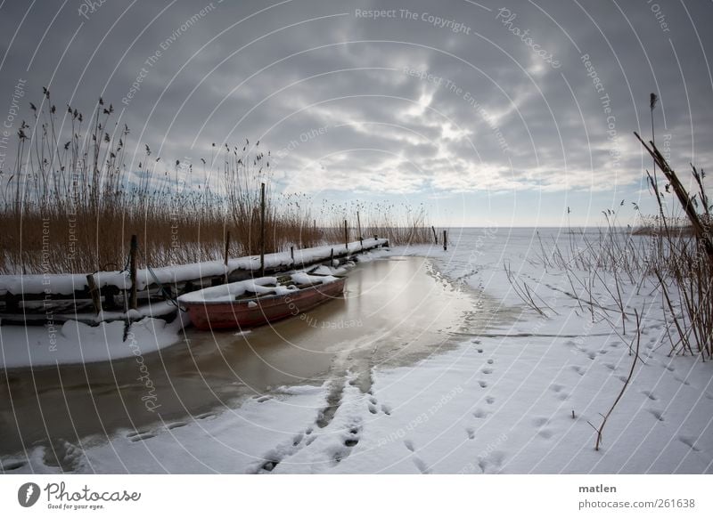 Am Haff Landschaft Himmel Wolken Horizont Winter Wetter Küste Ostsee Fischerboot braun rosa weiß Wolkenfront Schilfrohr Wolkendecke Schnee Spuren Fahrwasser