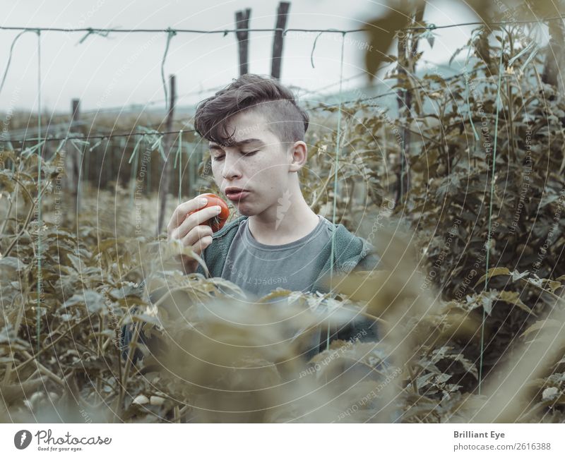 Mag ich! Gemüse Frucht Lifestyle Gesunde Ernährung Sommer Mensch maskulin 1 13-18 Jahre Jugendliche Natur Nutzpflanze Garten Feld Essen genießen liegen einfach