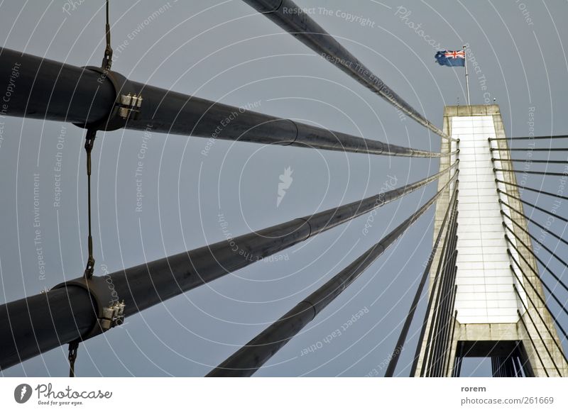 Anzac Brücke Detail Sydney Australien Architektur Verkehr Fahne modern Konstruktion Australier Pylon Kabel Detailaufnahme Gedeckte Farben Außenaufnahme