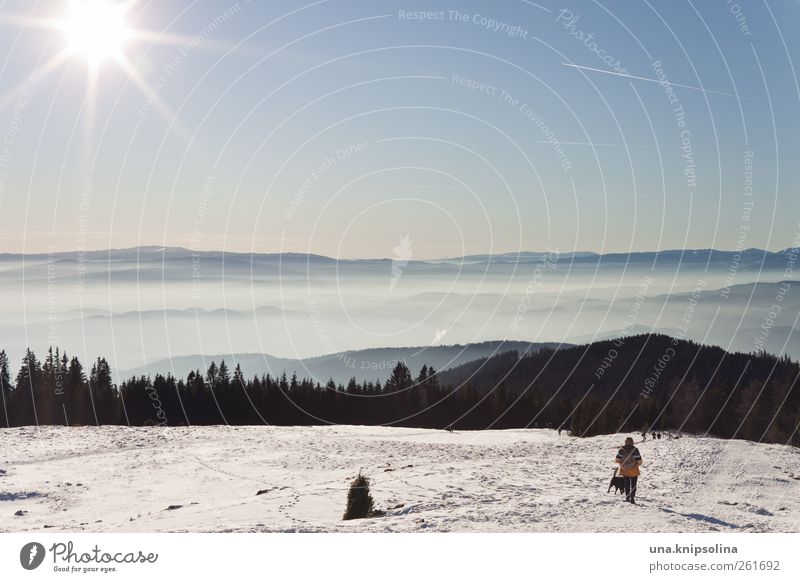 (sch)nee Ferien & Urlaub & Reisen Ausflug Ferne Freiheit Winter Winterurlaub Berge u. Gebirge wandern Natur Landschaft Sonnenlicht Schönes Wetter Nebel Schnee