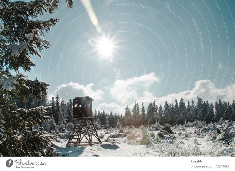 Jagdrevier Landschaft Himmel Wolken Winter Klimawandel Schönes Wetter Eis Frost Schnee Baum Sträucher Wildpflanze Wald Menschenleer Hochsitz Holz Kristalle