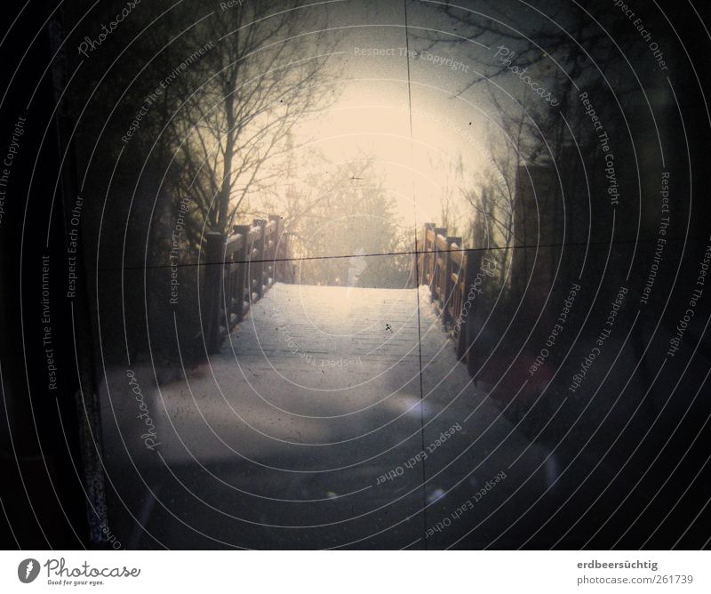 Le pont Umwelt Himmel Eis Frost Schnee Baum Sträucher Garten Park Fußgänger Brücke Holz frieren laufen retro schwarz Stimmung ruhig bizarr geheimnisvoll