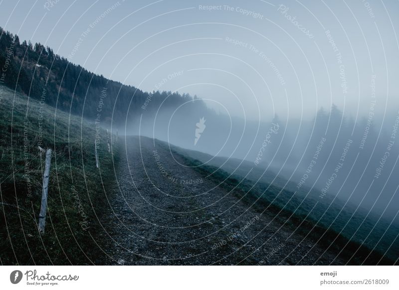 Nebel auf dem Wirzweli Umwelt Natur Landschaft Herbst Klima Wetter schlechtes Wetter Wiese dunkel kalt blau Wege & Pfade Farbfoto Gedeckte Farben Außenaufnahme