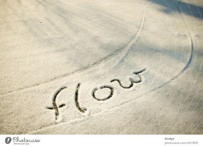 Es fließen lassen Winter Schnee Schriftzeichen Bewegung Freundlichkeit positiv grau weiß Vertrauen beweglich ästhetisch Energie Inspiration Leben Leichtigkeit