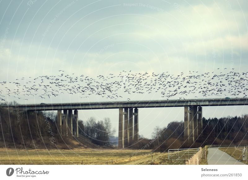 und ja nicht vom Weg abkommen Ferien & Urlaub & Reisen Tourismus Ausflug Ferne Freiheit Umwelt Natur Landschaft Himmel Wolken Schönes Wetter Feld Straße