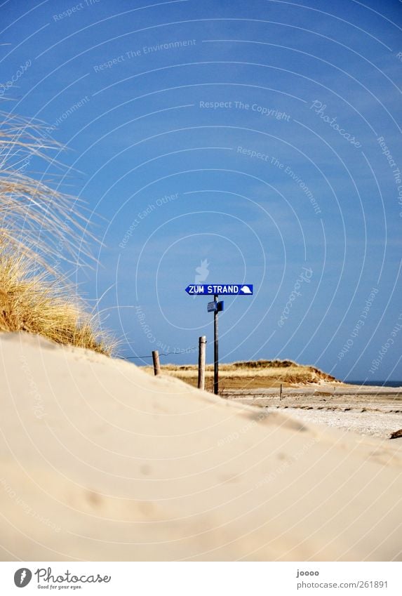 zum Strand Erholung Ferien & Urlaub & Reisen Sommer Sommerurlaub Natur Sand Wolkenloser Himmel Küste Nordsee Wärme Farbfoto Außenaufnahme Textfreiraum oben Tag