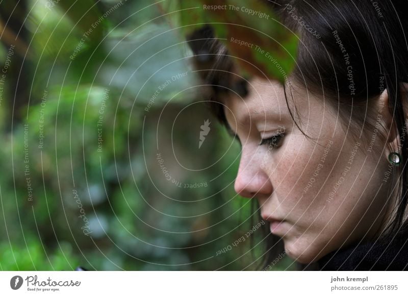 Lothlórien feminin Junge Frau Jugendliche 1 Mensch 18-30 Jahre Erwachsene Regen Baum Denken grün Verantwortung Vorsicht ruhig Selbstbeherrschung Trauer Tod