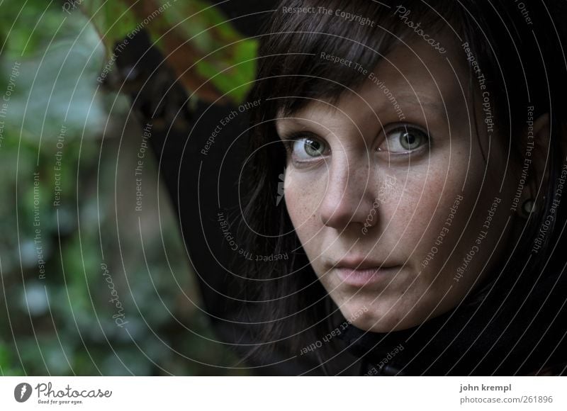 Galadriel feminin Junge Frau Jugendliche Gesicht 1 Mensch 18-30 Jahre Erwachsene Umwelt Natur Baum beobachten Blick dunkel schön grün Zufriedenheit Tapferkeit