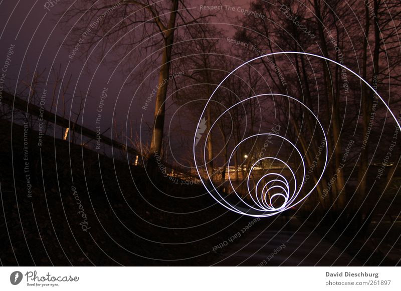 Tunnelblick Pflanze Baum Wald violett schwarz Wege & Pfade Tunneleffekt Strukturen & Formen Kreis Spirale Leitplanke Linie rund dunkel leuchten Farbfoto