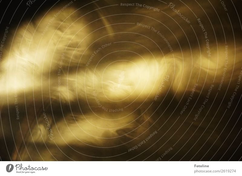 Gestalten im Nebel dunkel gruselig hell schwarz weiß Rauch Rauchwolke schemenhaft Nebelbank Farbfoto Gedeckte Farben Innenaufnahme Detailaufnahme Experiment