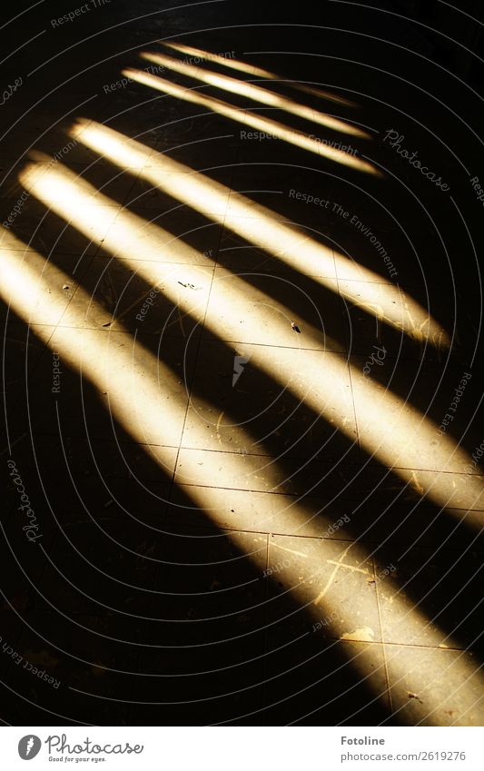 Licht und Schatten Haus Bauwerk Gebäude Architektur Fenster dunkel hell schwarz weiß Bodenbelag Bodenplatten Flur Holzfußboden Krümel staubig Farbfoto