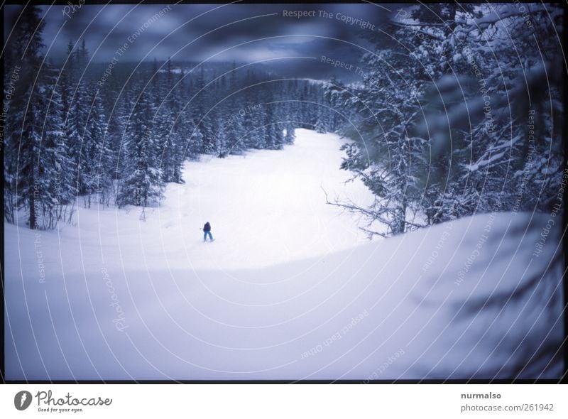 einsamabfahrt Lifestyle Leben Wohlgefühl Freizeit & Hobby Winter Schnee Winterurlaub Skifahren 1 Mensch Natur Klima Eis Frost Wald Berge u. Gebirge Erholung