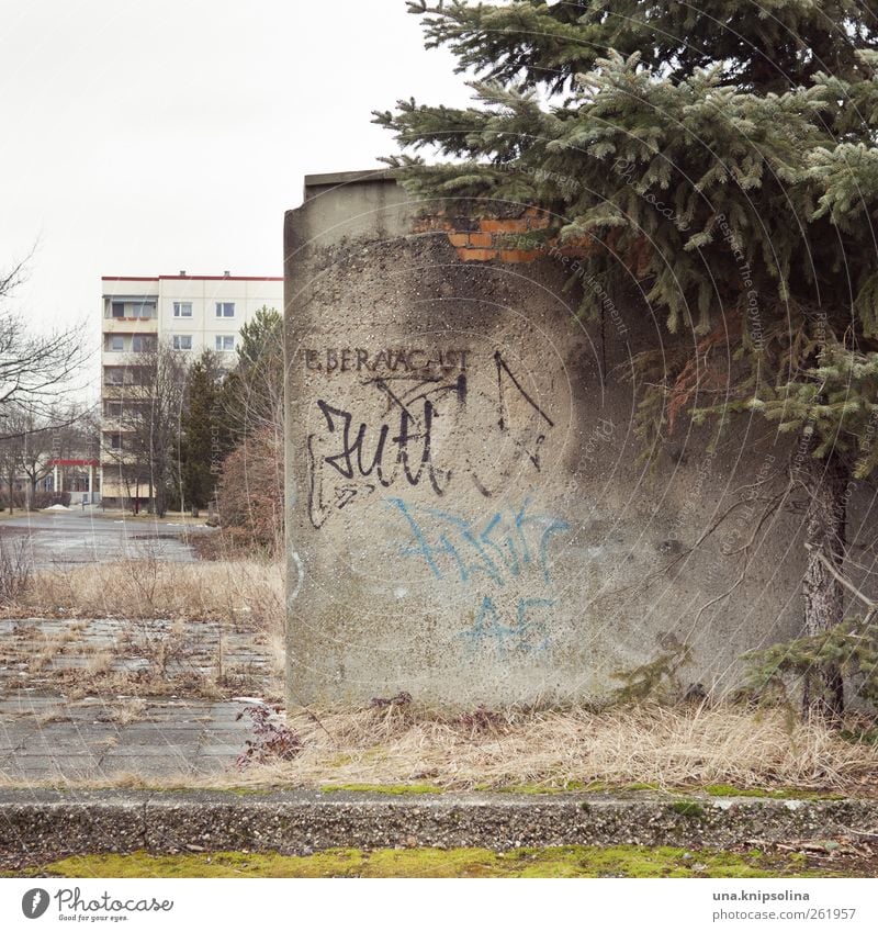 wohnkomplex 6 schlechtes Wetter Baum Hoyerswerda Kleinstadt Stadt Stadtrand Menschenleer Ruine Würfelhaus Plattenbau Mauer Wand alt dreckig kaputt Einsamkeit