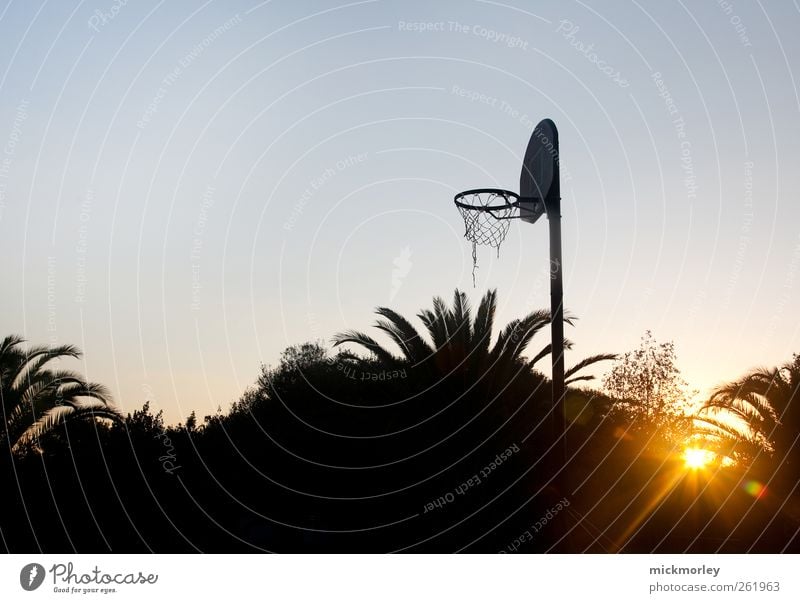 Early Morning Hour Leben Wohlgefühl Zufriedenheit Sinnesorgane Freizeit & Hobby Sommer Sommerurlaub Sport Ballsport Basketball Basketballkorb Umwelt Natur Sonne