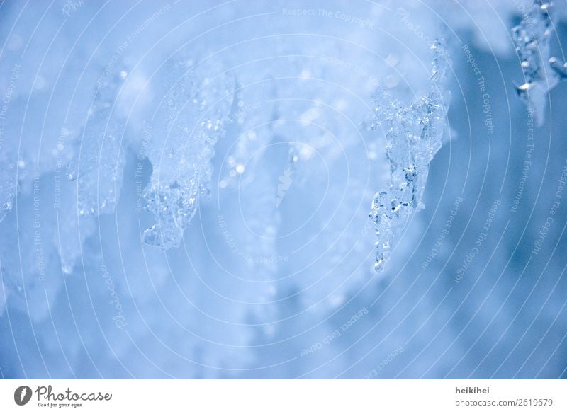 Eiszeit Winter Natur Wasser Wassertropfen Frost Garten fest Flüssigkeit glänzend kalt nass natürlich blau Vergänglichkeit Zeit Eiszapfen gefroren Eiskristall