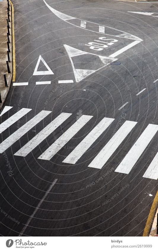 Alles geregelt Menschenleer Verkehr Verkehrswege Straßenverkehr Straßenkreuzung Verkehrszeichen Verkehrsschild Zebrastreifen stoppen Zeichen Schriftzeichen