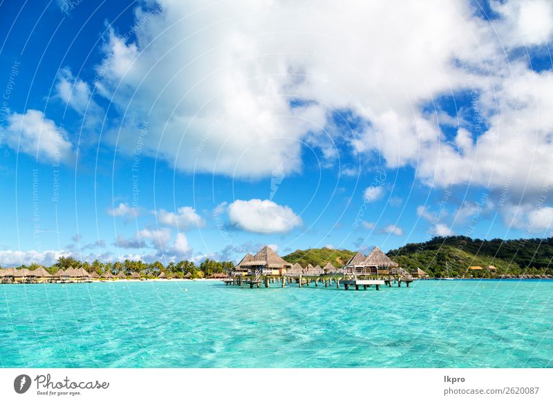 am Strand Reichtum exotisch Erholung Ferien & Urlaub & Reisen Tourismus Sommer Meer Insel Haus Natur Landschaft Sand Himmel Baum Urwald Küste Hütte blau türkis