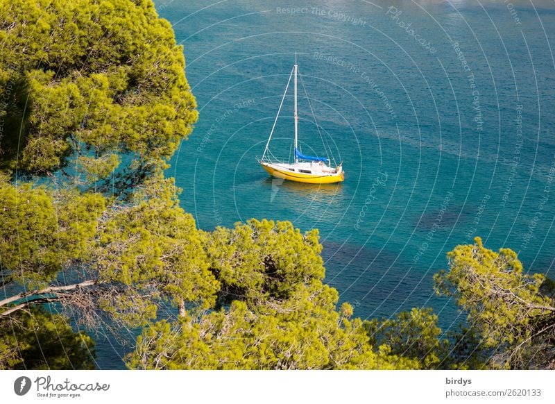 chill - idyll Lifestyle Freizeit & Hobby Ferien & Urlaub & Reisen Sommerurlaub Natur Wasser Schönes Wetter Baum Küste Bucht Meer Mittelmeer Schifffahrt