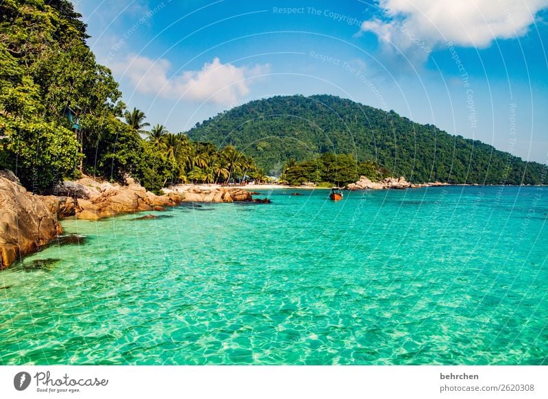 paradies - perhentian besar Ferien & Urlaub & Reisen Tourismus Ausflug Abenteuer Ferne Freiheit Natur Landschaft Palme Urwald Felsen Wellen Küste Strand Meer