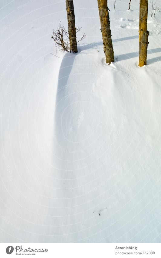 die 3 Umwelt Natur Landschaft Pflanze Winter Wetter Schönes Wetter schlechtes Wetter Wind Eis Frost Schnee kalt blau braun schwarz weiß lang dünn Holz Stab