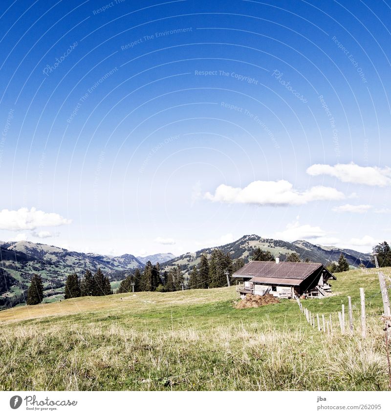 Skipiste im Sommer Zufriedenheit Erholung Ferien & Urlaub & Reisen Expedition Berge u. Gebirge Sportstätten Natur Landschaft Himmel Wolken Herbst Schönes Wetter