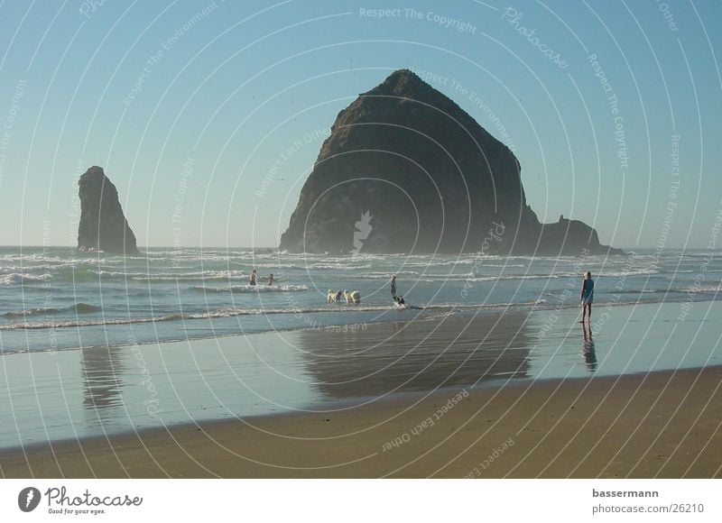 Haystack Rock Strand Meer Klippe Ferien & Urlaub & Reisen Pazifik Oregon Sommer Cannon Beach coast Felsen Westküste haystack rock