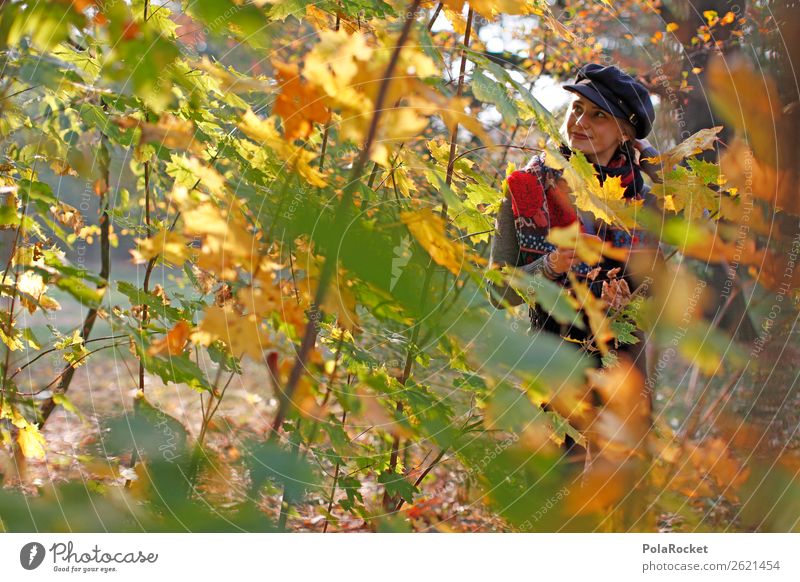 #A0# Herbsttag 1 Mensch ästhetisch Herbstlaub herbstlich Herbstfärbung Herbstbeginn Herbstwald Herbstwetter Wald Herbstlandschaft Herbstwind Frau Außenaufnahme