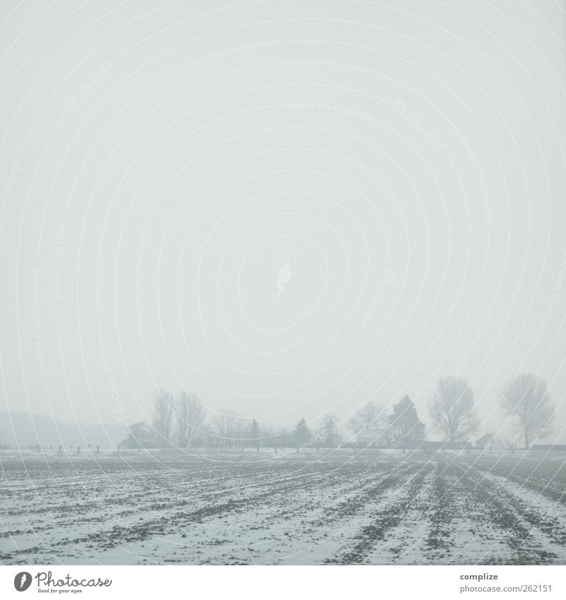 Flandern Leben Ferien & Urlaub & Reisen Tourismus Ausflug Winter Schnee Umwelt Natur Erde Himmel Wolken Unendlichkeit weiß kalt Feld Landwirtschaft Landschaft