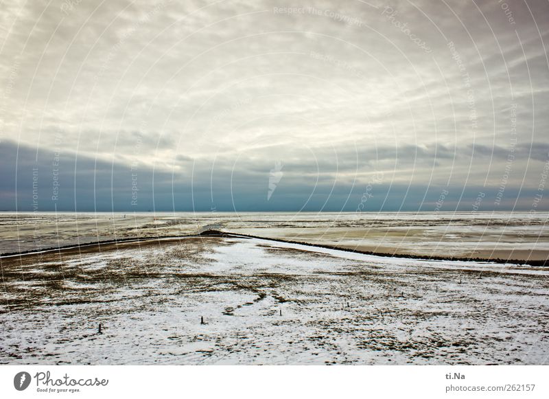 weite Nordseewelt Natur Landschaft Luft Wasser Himmel Wolken Winter Eis Frost Gras Küste Schleswig-Holstein Wattenmeer Naturschutzgebiet Weltkulturerbe kalt