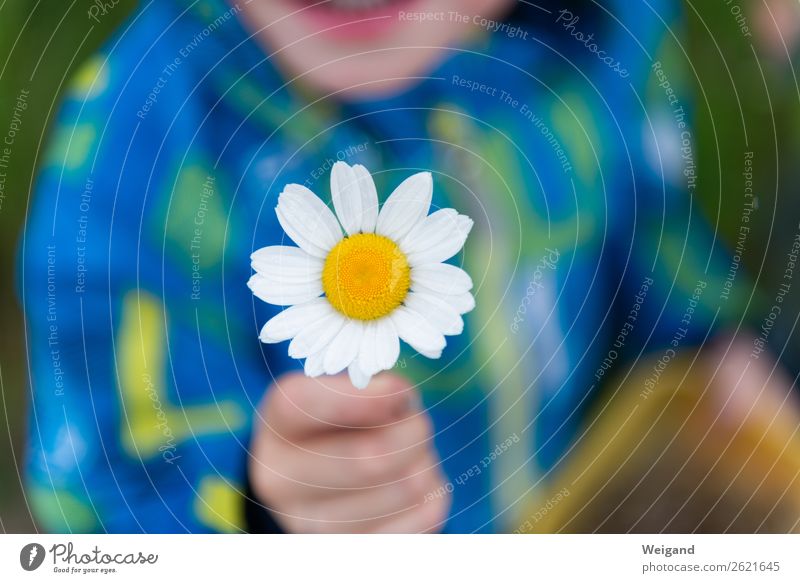 Muttertag Kindergarten Kleinkind Mädchen Junge Kindheit 1 Mensch Liebe Zusammensein Menschlichkeit Solidarität Hilfsbereitschaft trösten dankbar Traurigkeit