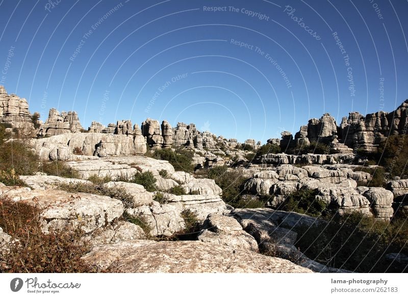 Rocas calizas [XVIII] Ferien & Urlaub & Reisen Ausflug Abenteuer Umwelt Natur Landschaft Urelemente Felsen Berge u. Gebirge Kalkstein Felsplateau