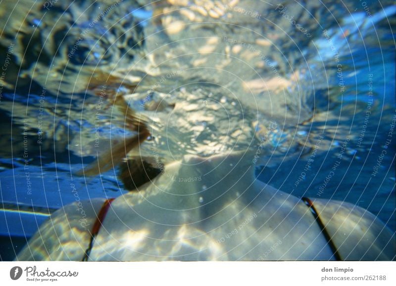 einmal luft holen Schwimmen & Baden Freizeit & Hobby Wellen feminin Junge Frau Jugendliche 1 Mensch 18-30 Jahre Erwachsene Wasser atmen tauchen Flüssigkeit