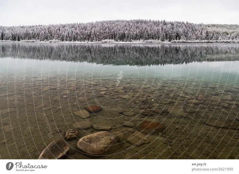 Sauber Ferien & Urlaub & Reisen Ausflug Ferne Winter Schnee Natur Landschaft Klima Klimawandel Eis Frost Wald Hügel Felsen Seeufer kalt Sauberkeit Abenteuer